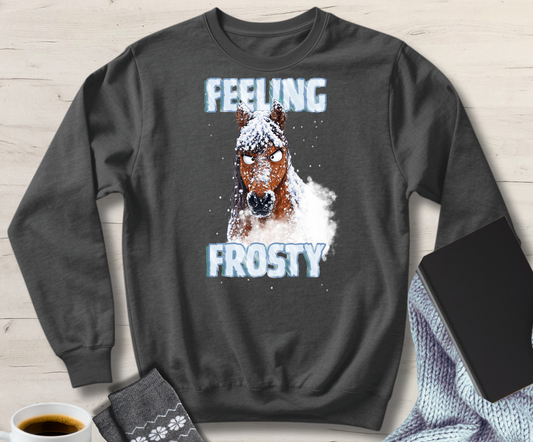 z Feeling Frosty Sweatshirt